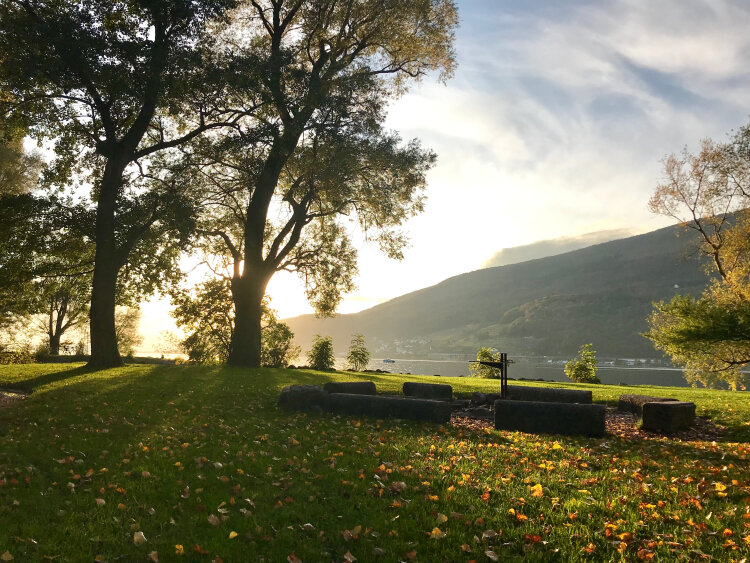 fall+switzerland+nature+lake+yellow+leaves+ground+sun+trees+blogger+ochre+and+beige