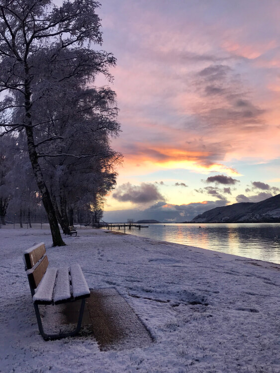 winter+switzerland+sunset+pink+purple+bench+snow+lake+ochre+and+beige